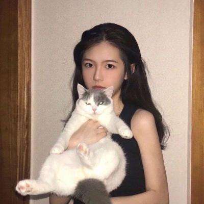 大数据修真破解版下载